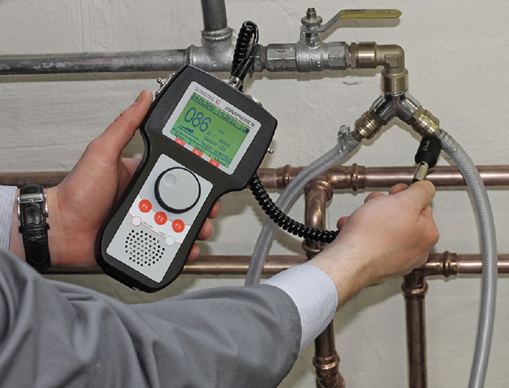 Placentia leak detection